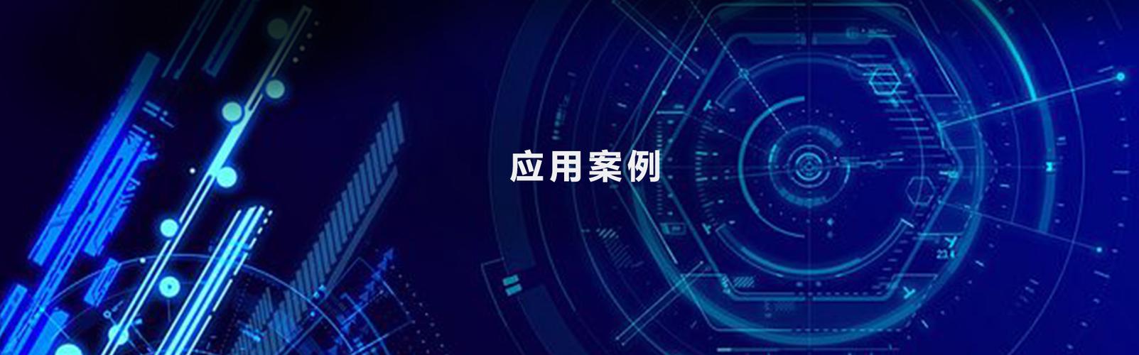 极晨智道信息技术